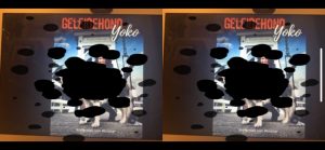 Cover Geleidehond Yoko gezien met gezichtsuitval