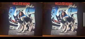 Cover Geleidehond Yoko gezien met vertekend beeld