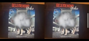 Cover Geleidehond Yoko gezien met blinde vlek