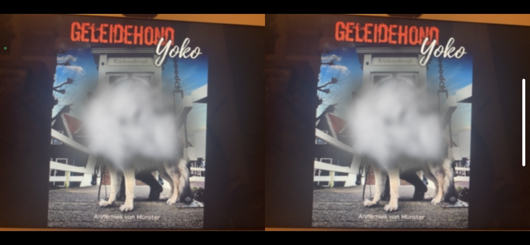 Cover Geleidehond Yoko gezien met blinde vlek