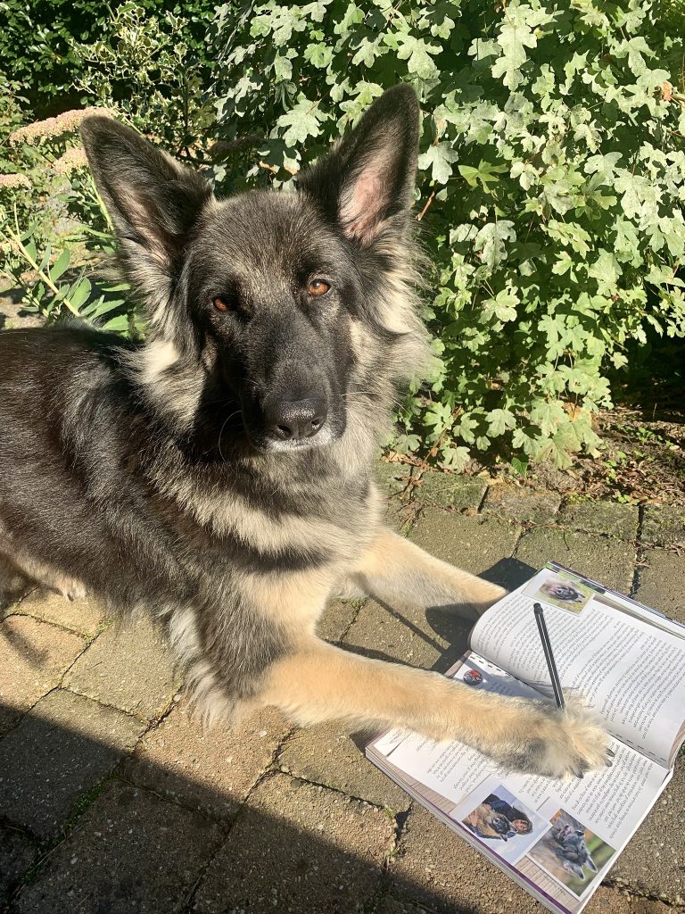 Yoko heeft haar poot op haar nieuwe boek met een pen tussen haar tenen, alsof ze signeert