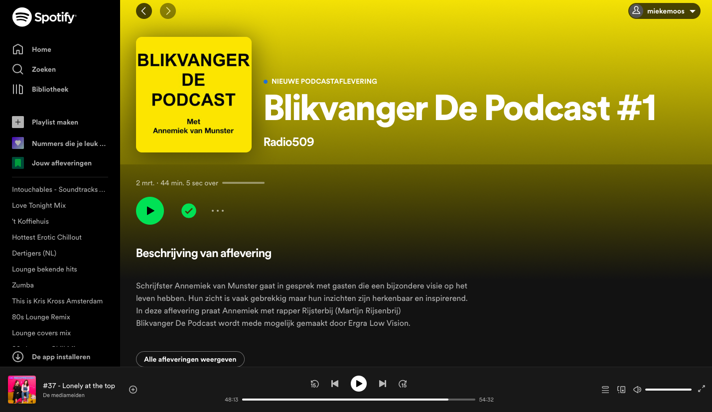 schermafbeelding van de podcast Blikvanger in Spotify