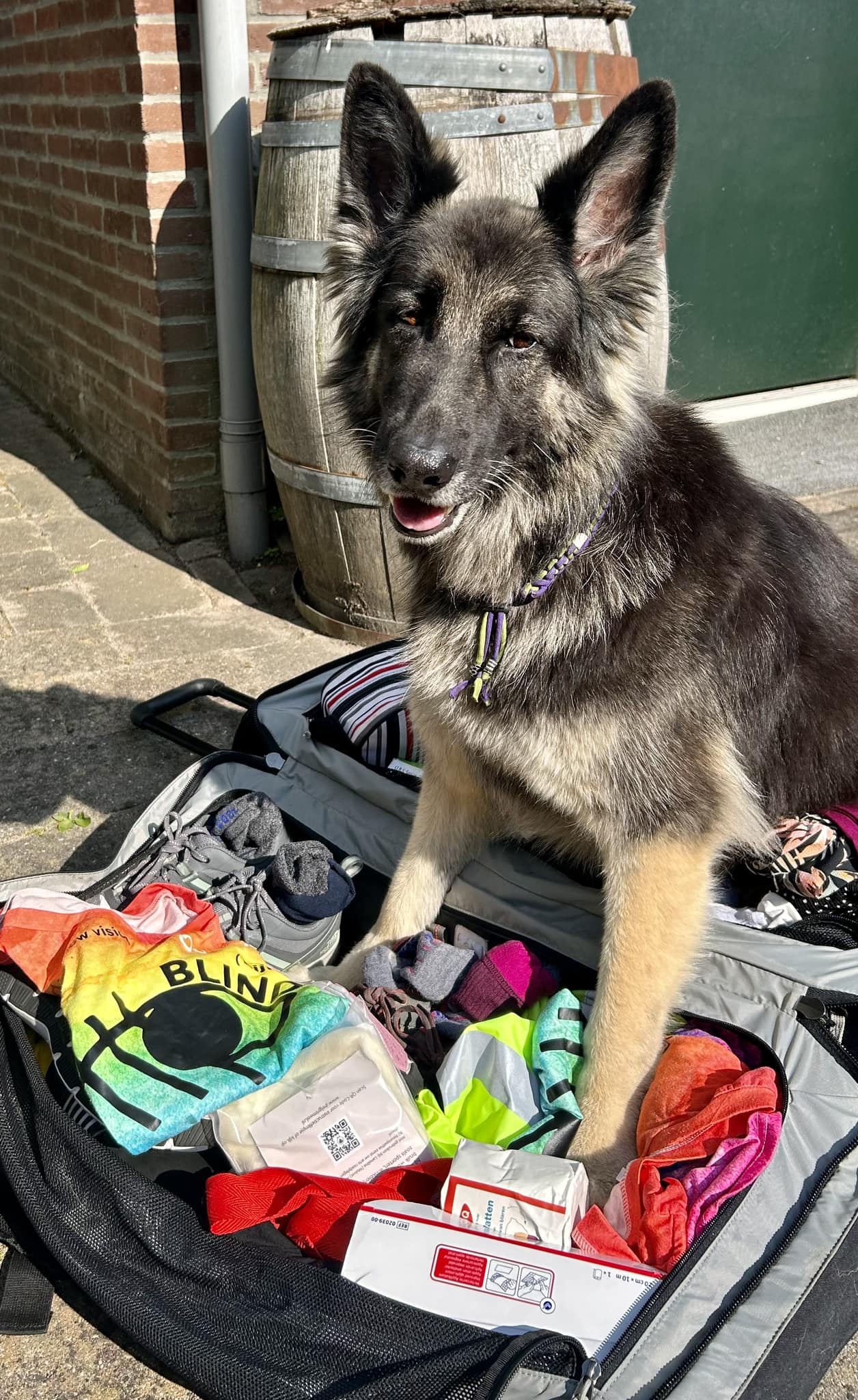 YOKO bovenop de ingepakte vierdaagse koffer