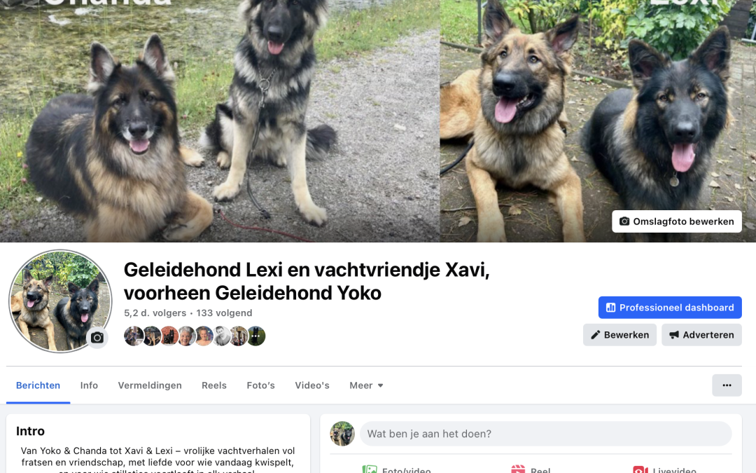 Annemiek blaast nieuw leven in socials