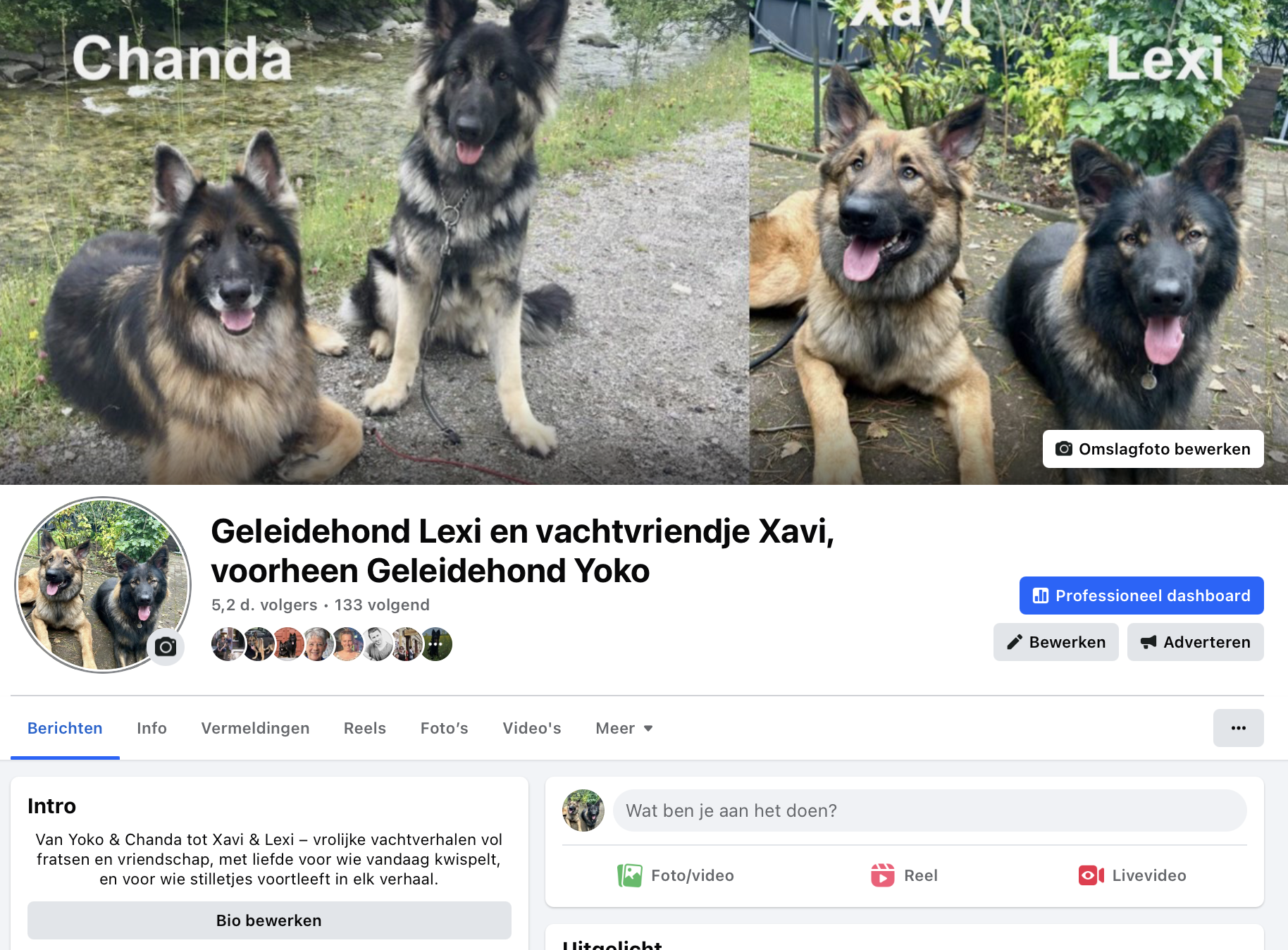 Een schermafbeelding van de nieuwe Facebookpagina Geleidehond Lexi en vechtvriendje Xavi